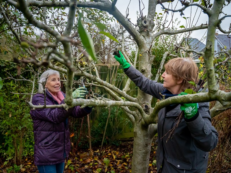 two women gardening in a tree